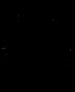 U.S. Basketball Amsterdam